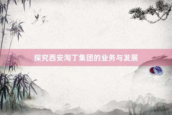 探究西安淘丁集团的业务与发展